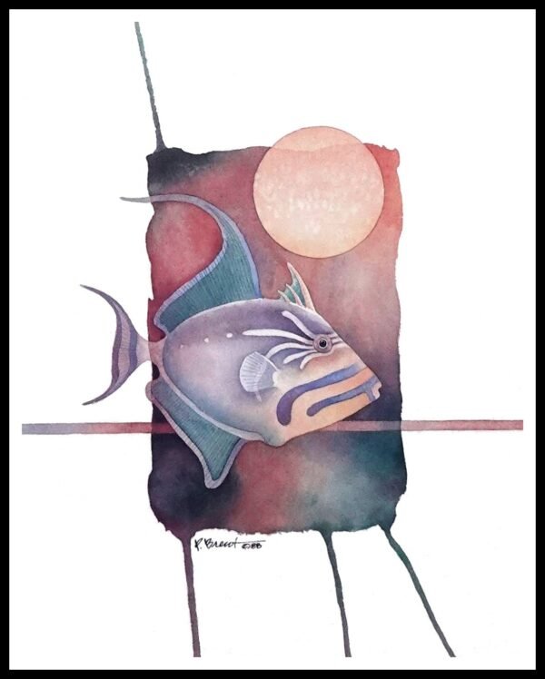 PBD 1053 Trigger Fish